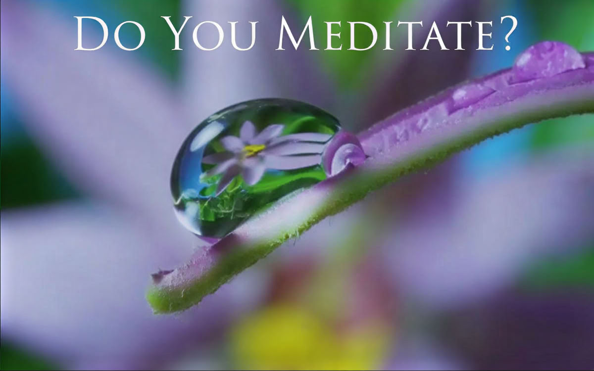 Do you Meditate