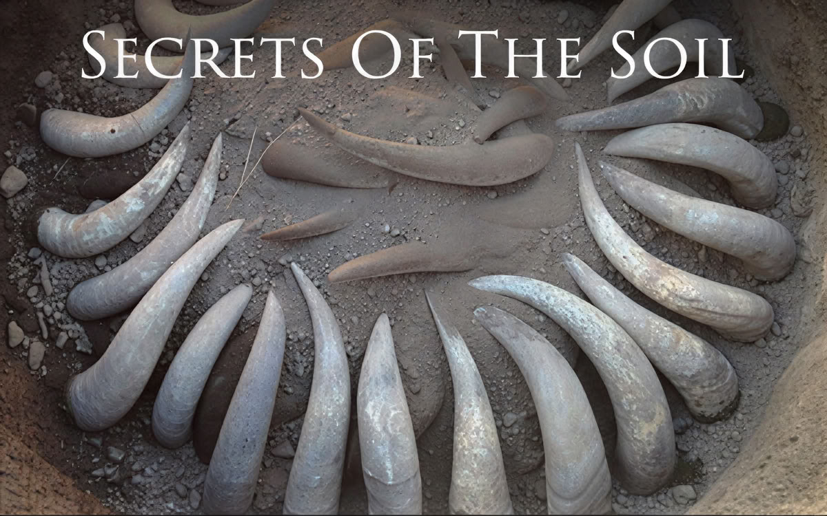Secrets of the Soil