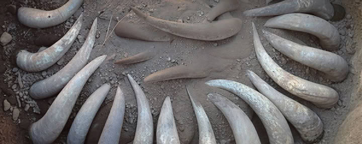 Secrets of the Soil