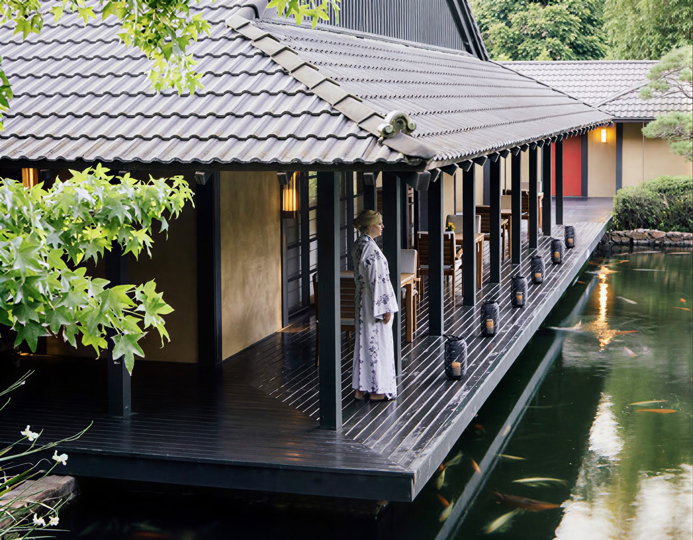 The Zen of Life