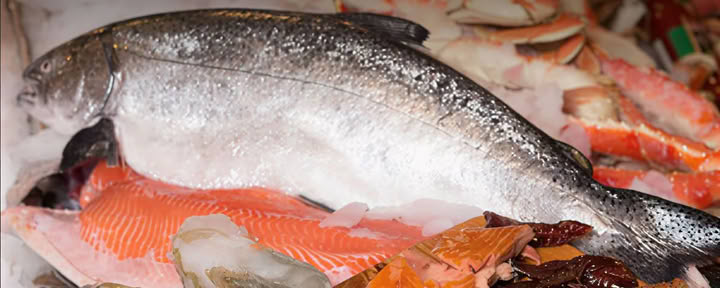 Fishmonger's Guide