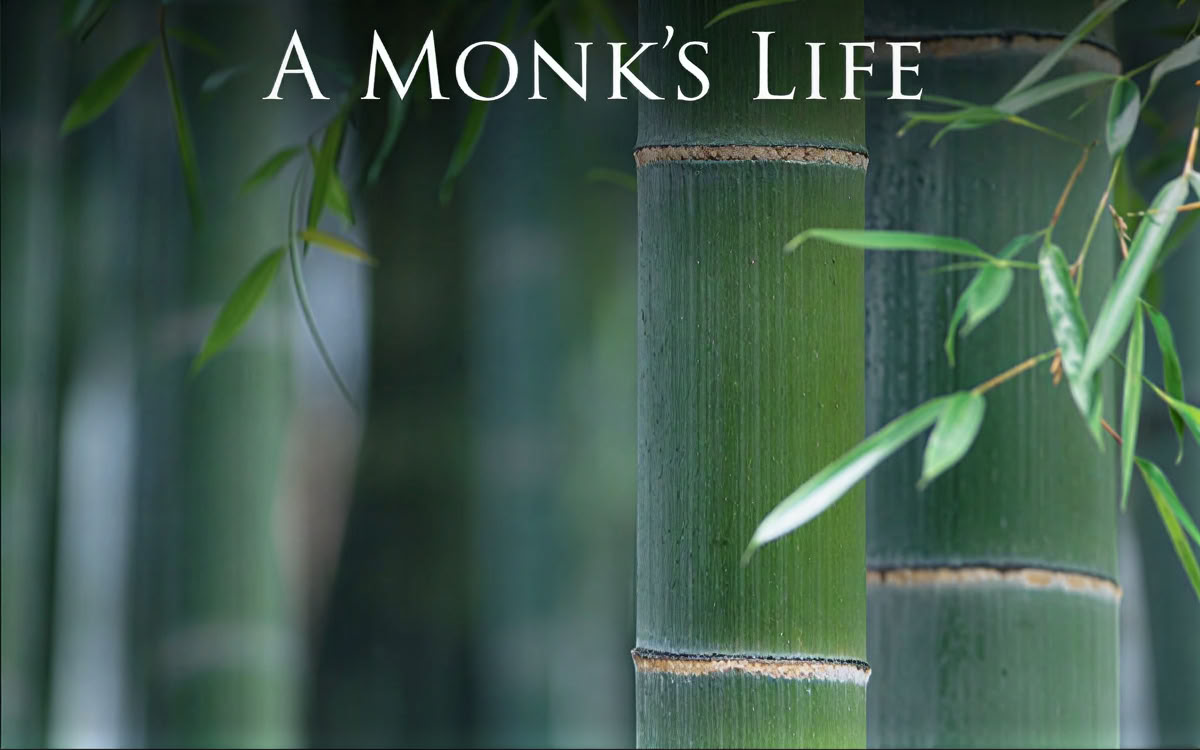 A Monk's Life