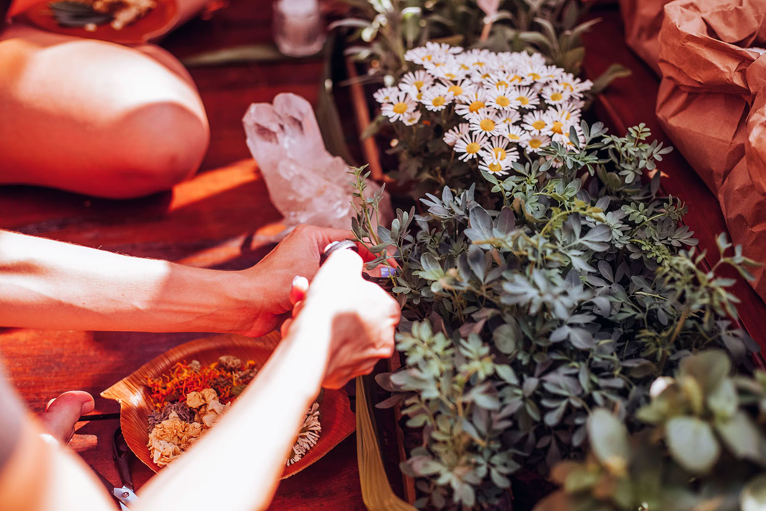 Retiro Fênix – O Poder Está Dentro de Você