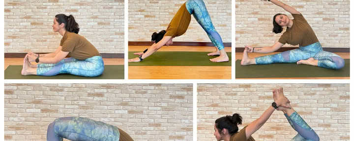 Yoga Therapy for Pelvic and Core Strength