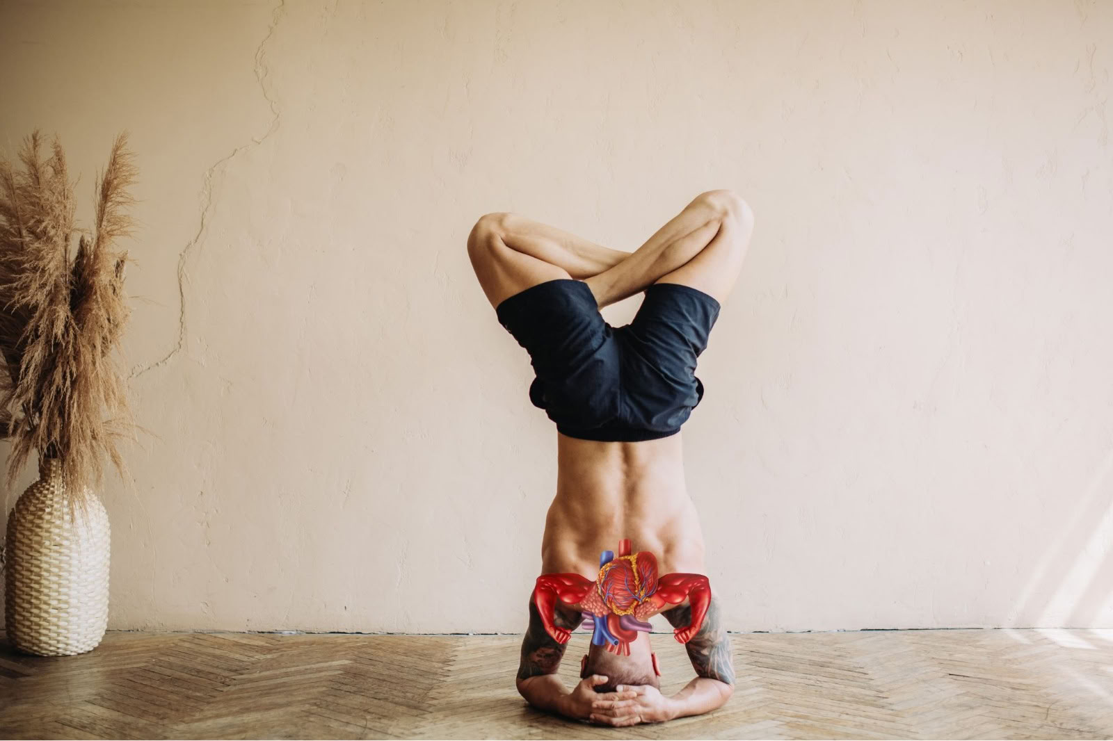 Yoga Therapy for Respiratory Health (Cardio-Breath Fusion)