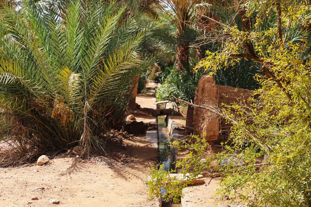 4 Days Tour from Casablanca to Marrakesh via Desert