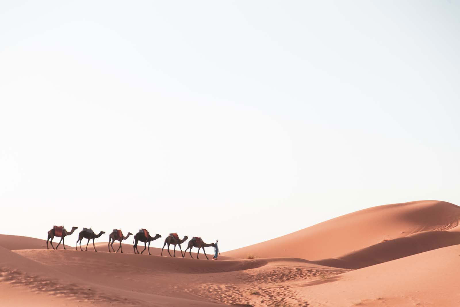 6 Days from Marrakech Authentic desert tour