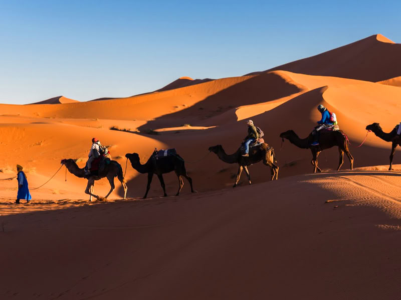 5 Days Tour from Casablanca to Chefchaouen