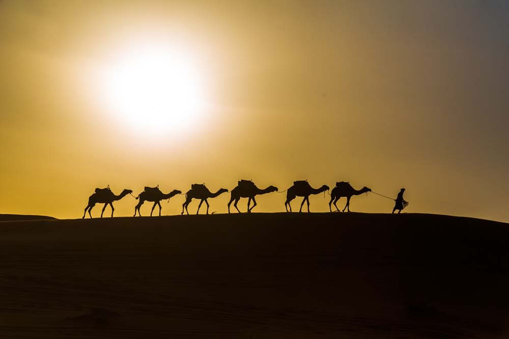 5 Days Trip from Casablanca to Fes via Desert