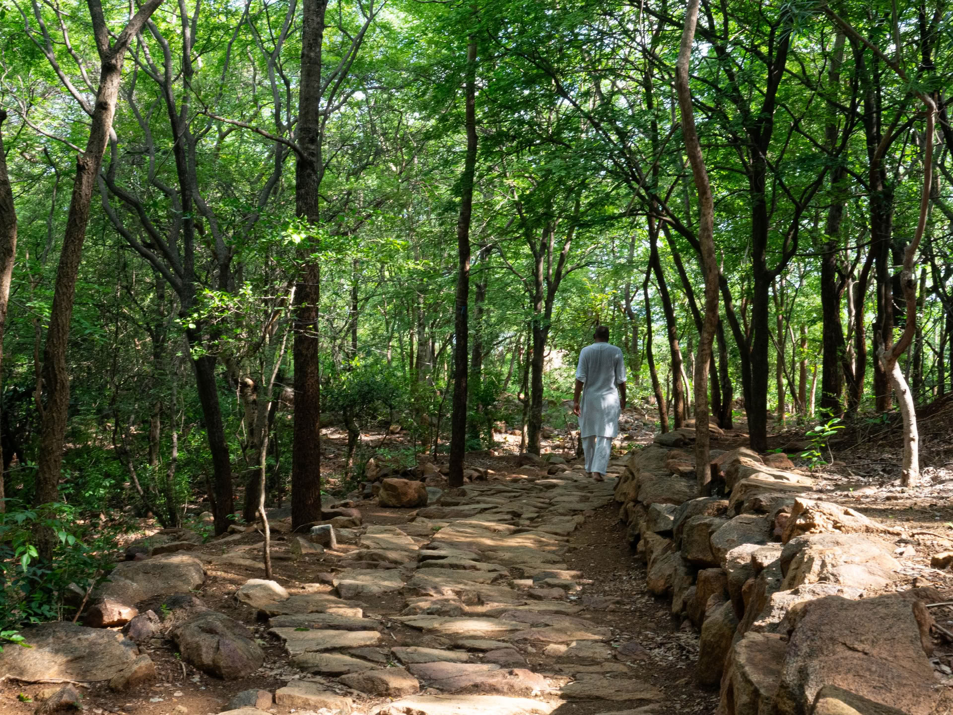 The Call of the Heart Workshop 5: You are the Path; the Path is You