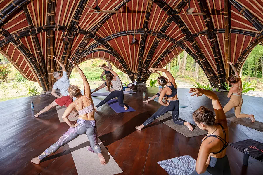 Vaidika Dharma: 100-Hour SPIRIT Yoga Teacher Training