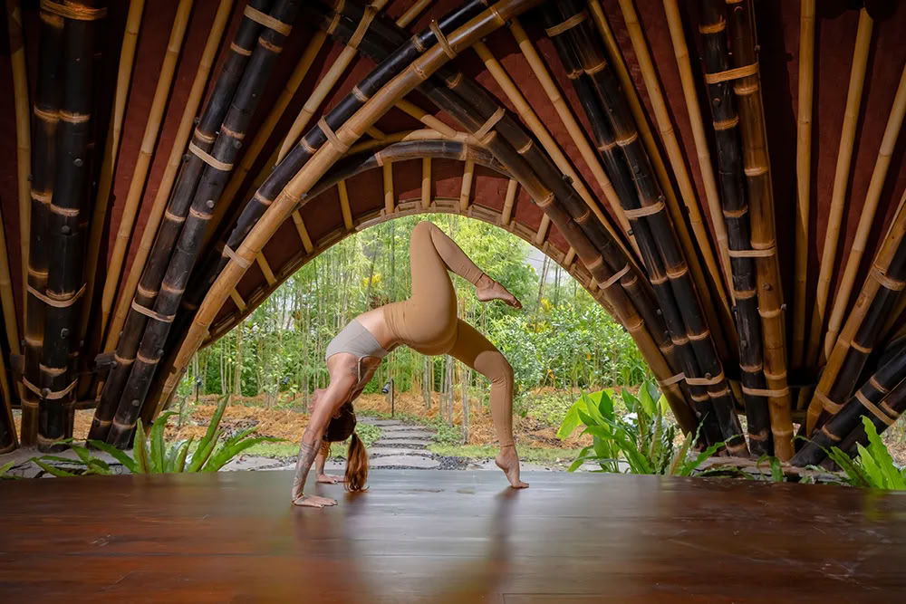 Vaidika Dharma: 100-Hour SPIRIT Yoga Teacher Training