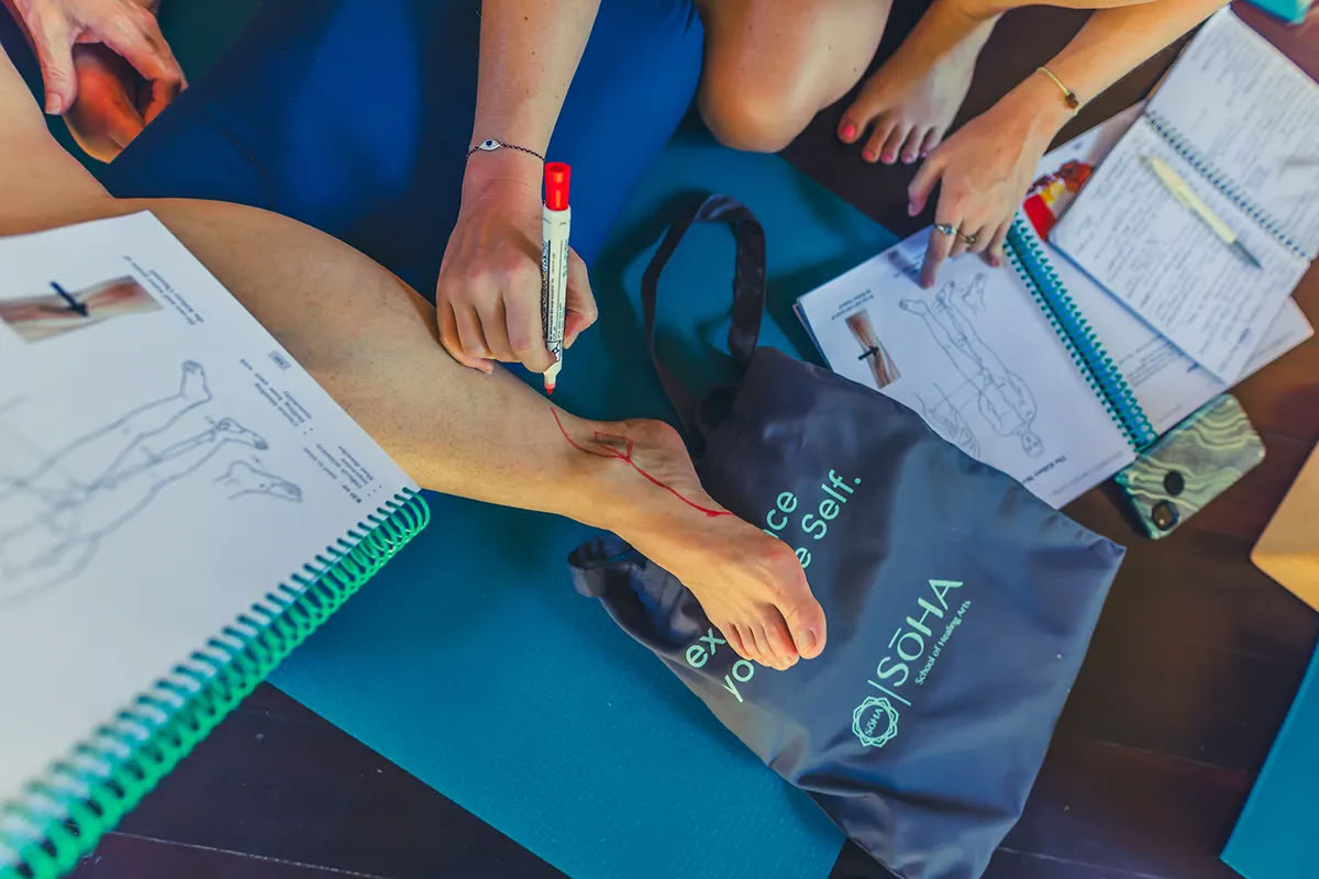 100HR Module in Person - Bali