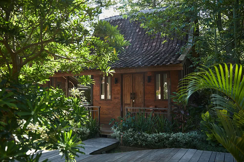 Lucidflow 100h of 300h ytt - Yoga Teacher Training Bali