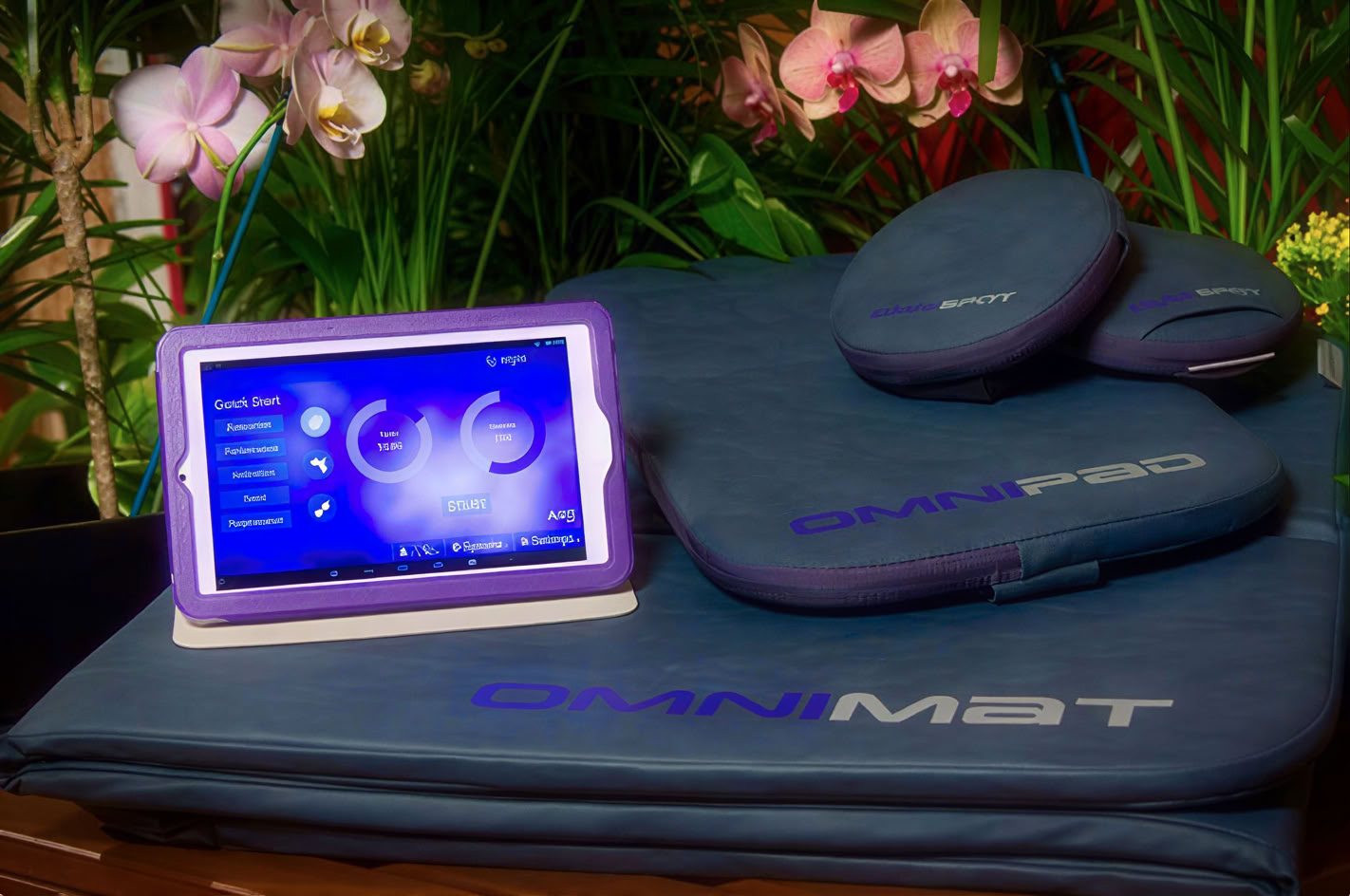 PEMF Mat Healing Session