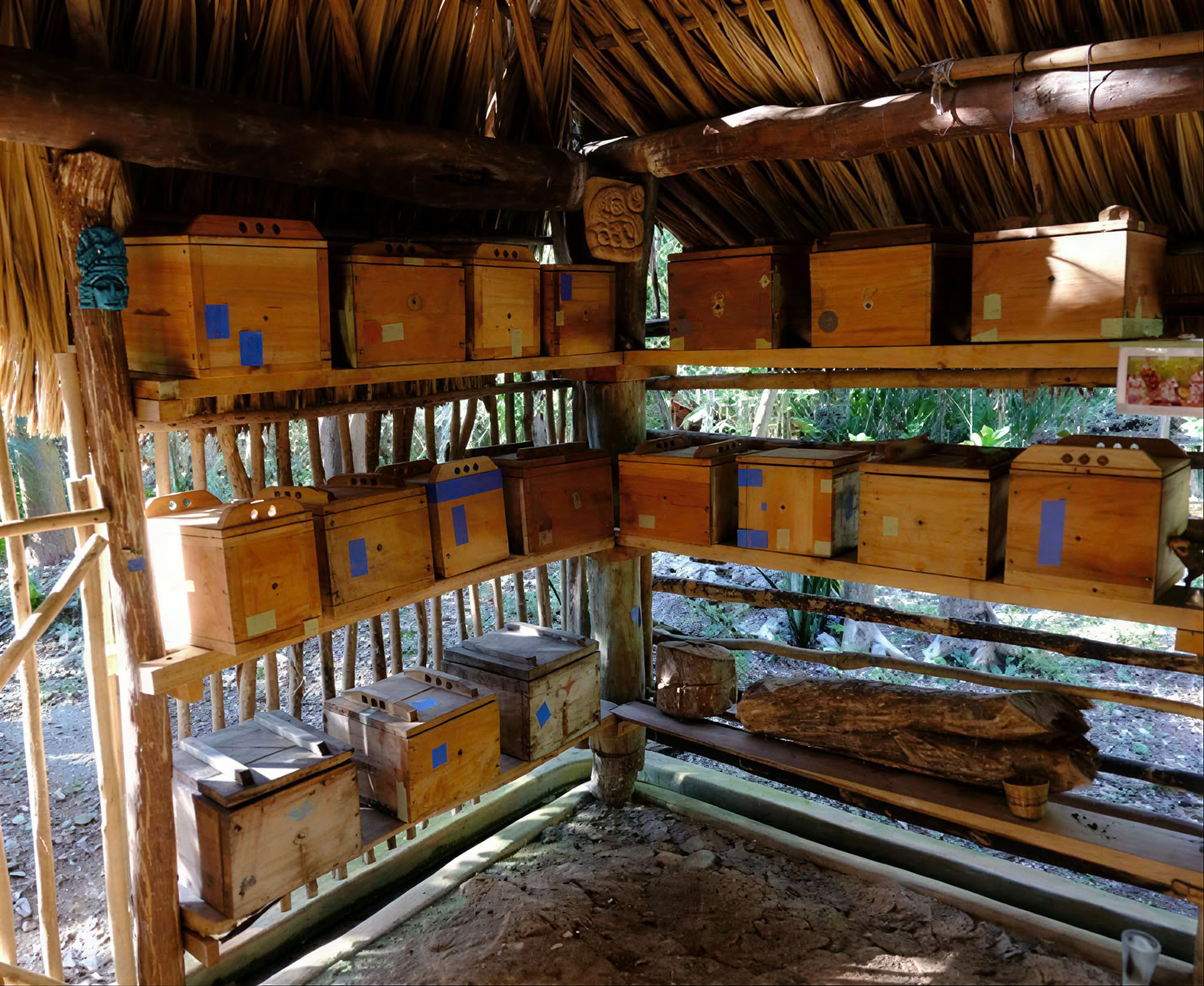 Coba & Mayan Healer Encounter