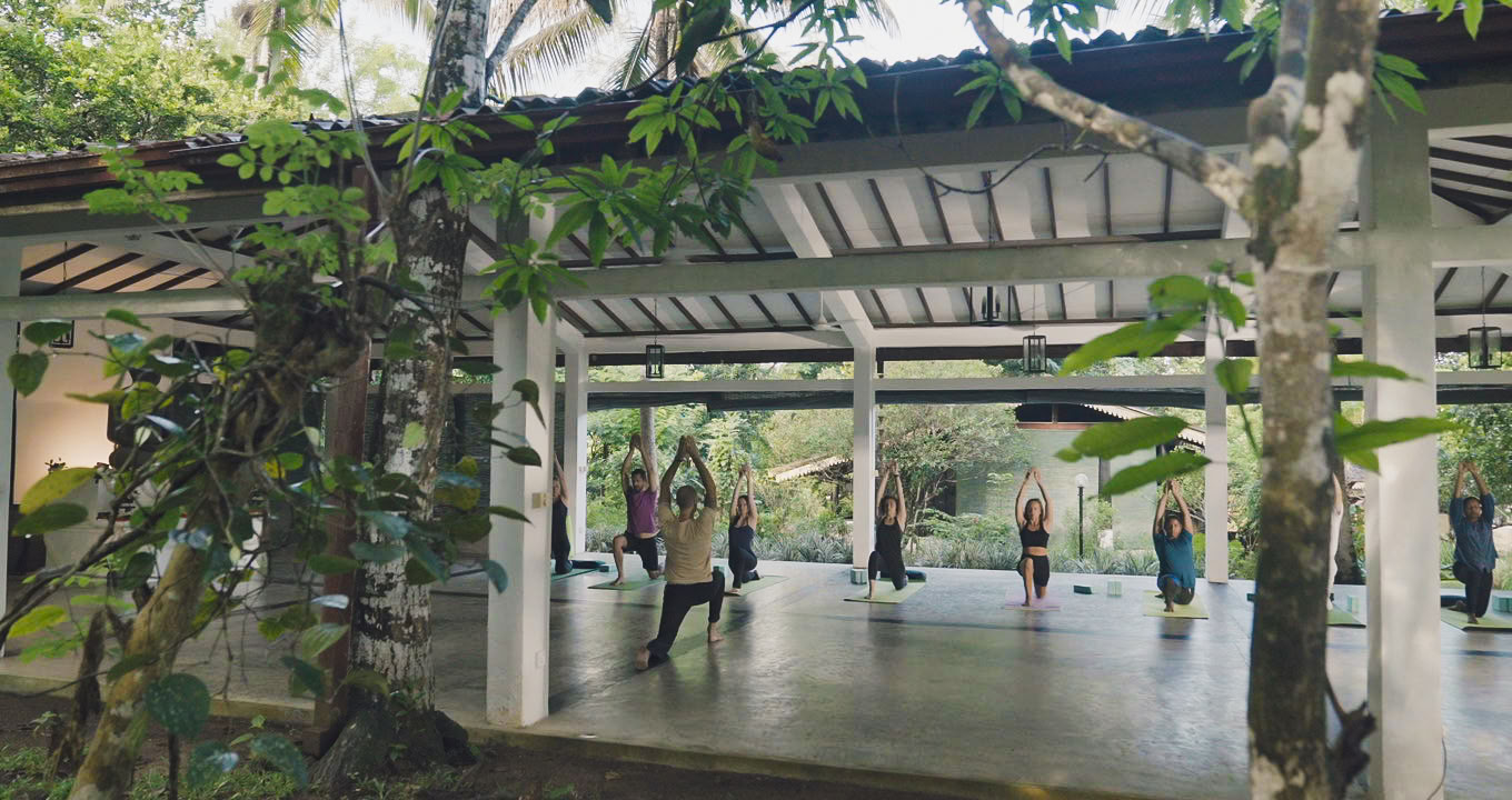 Yoga Teacher Training