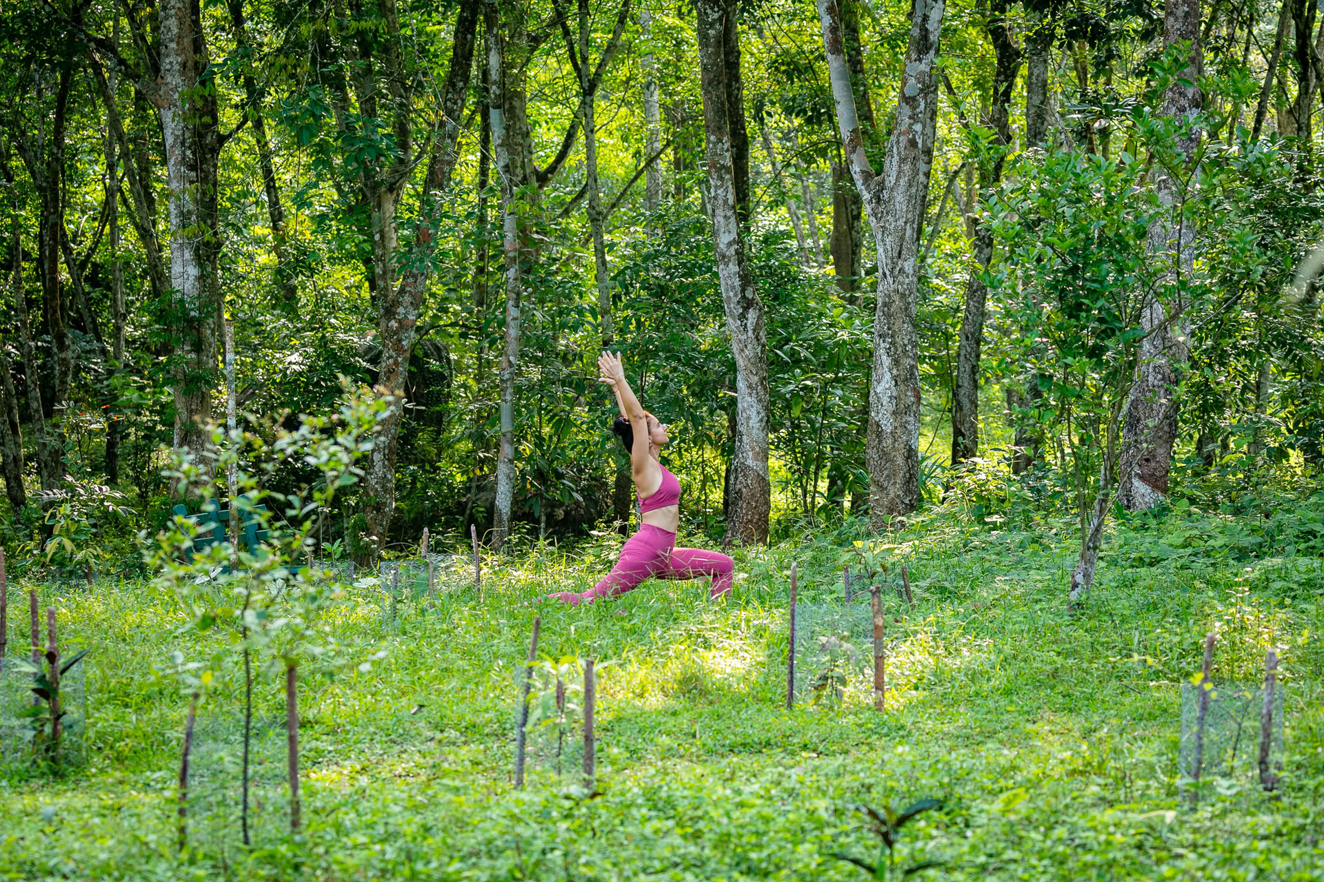 Sri Lanka Day Retreat