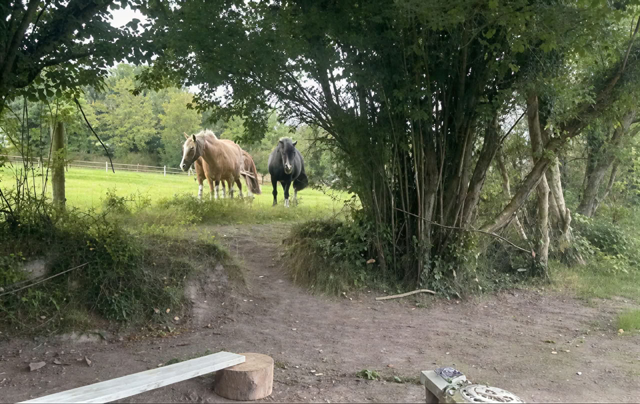 Connect with Heart Retreat with the Horses