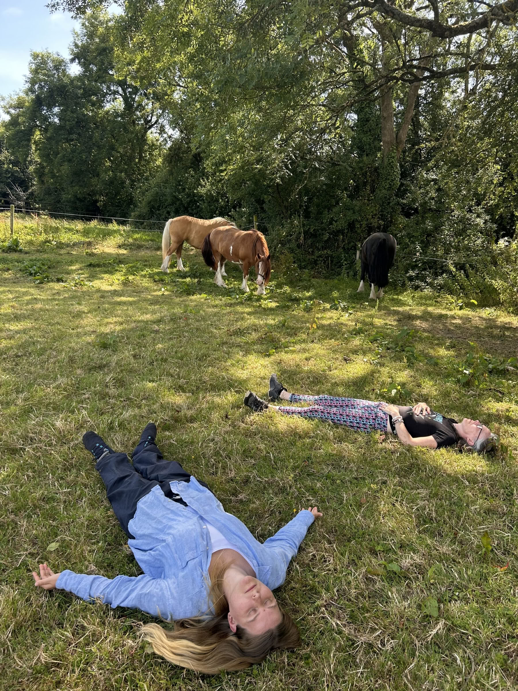 Connect with Heart Retreat with the Horses