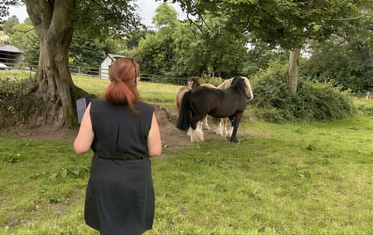 Connect with Heart Retreat with the Horses