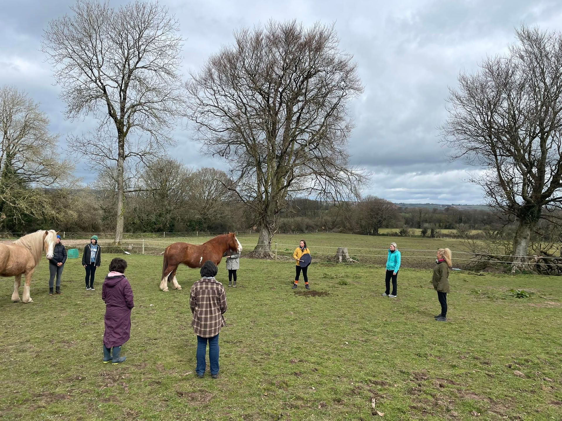 Self Love Retreat with the Horses