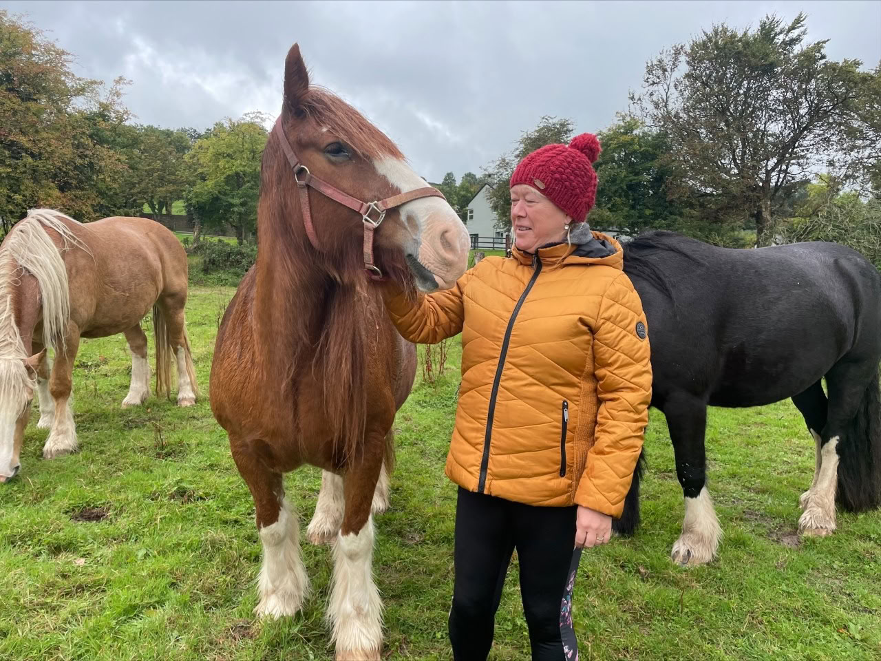 Self Love Retreat with the Horses