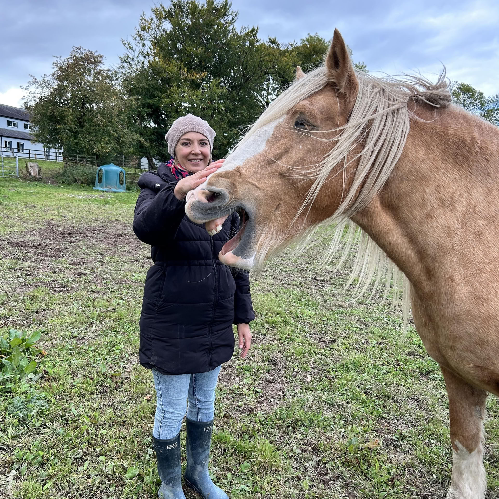 Stepping into the Partnership with the Horses