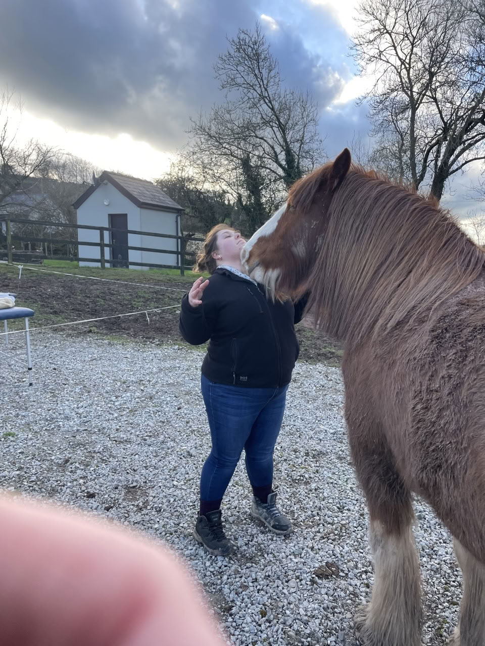 Animal Reiki Teaching