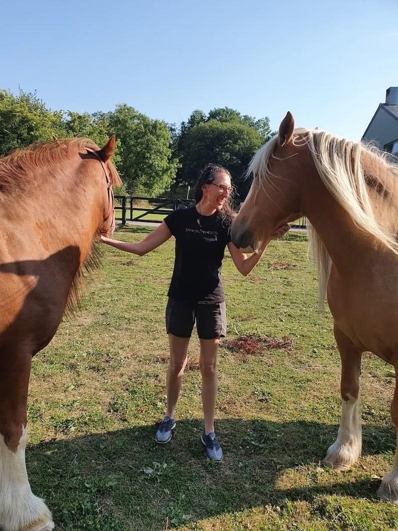 Animal Reiki Teaching