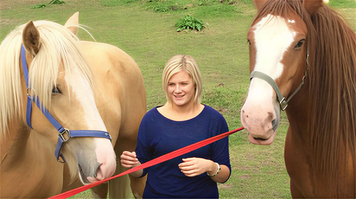 Animal Reiki Teaching