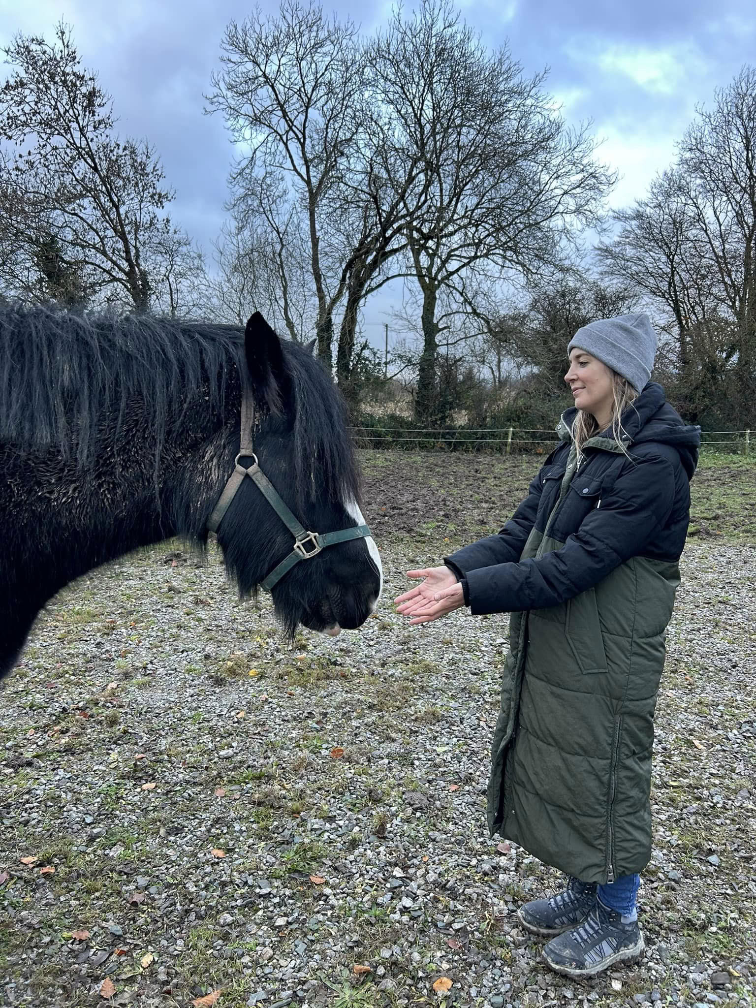 Animal Reiki Teaching