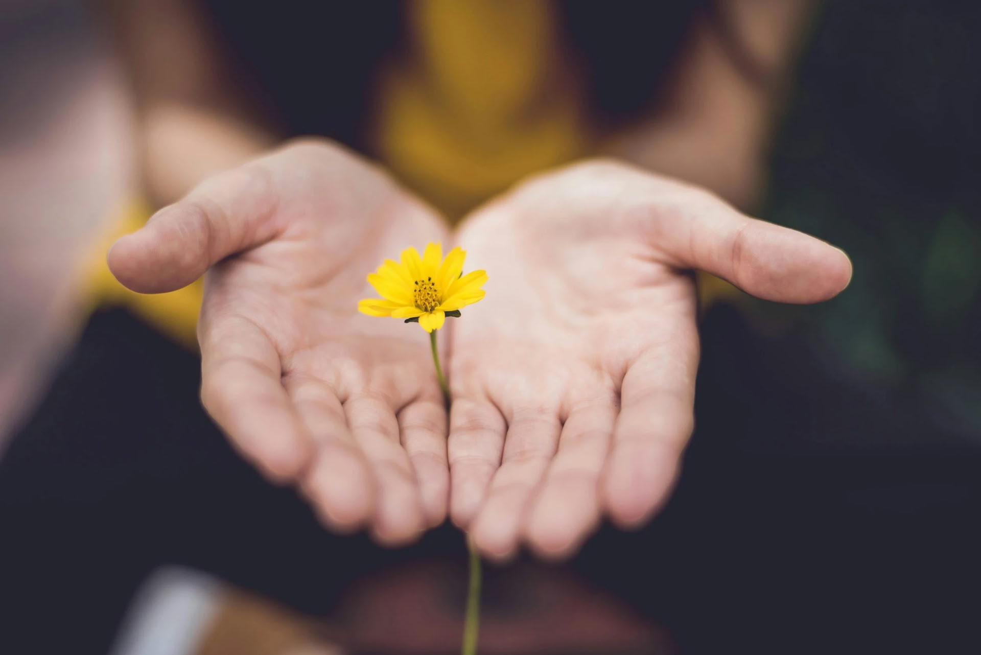 Harmonize Your Life: A Retreat