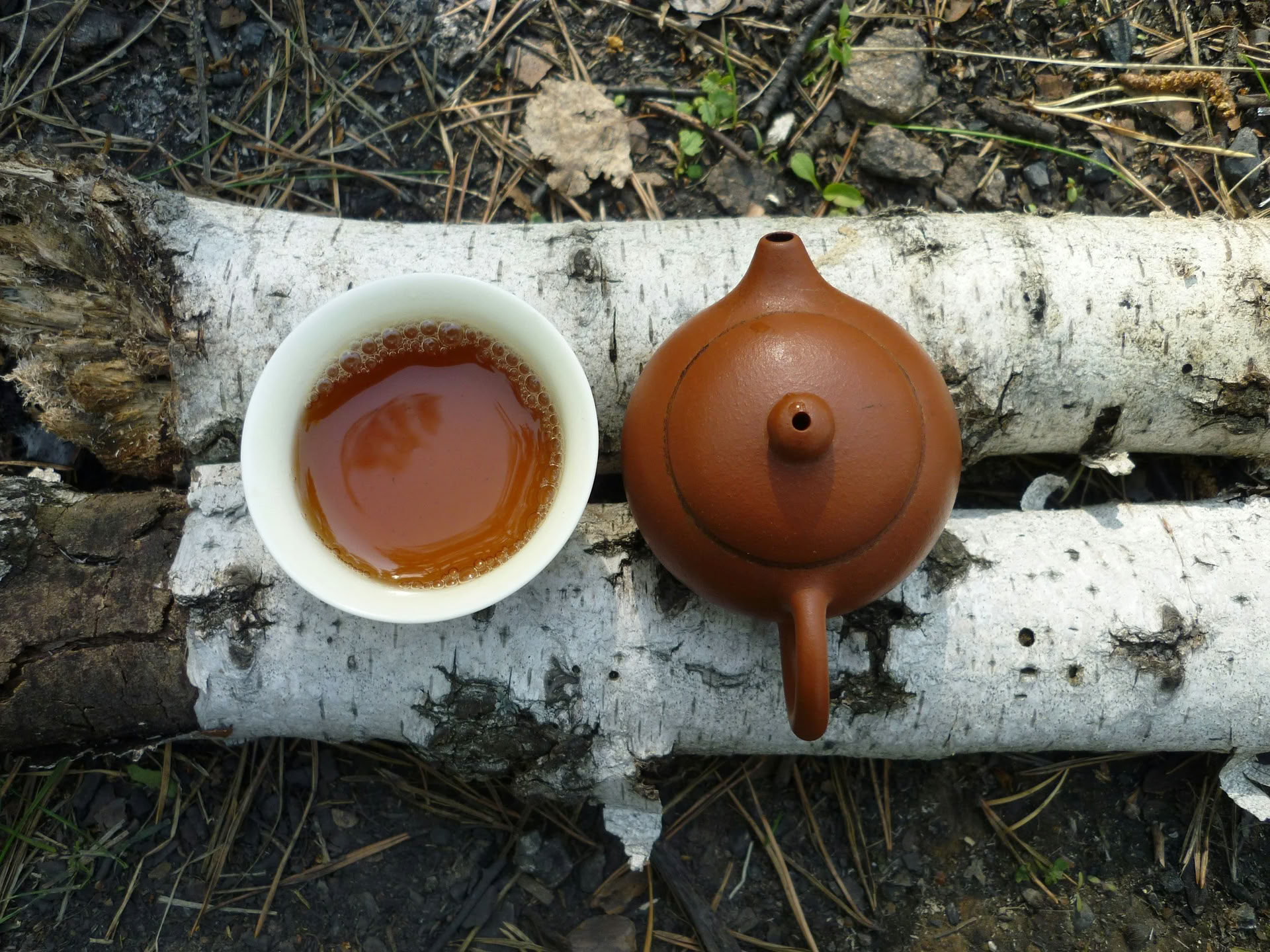 Harmonize Your Life: A Retreat