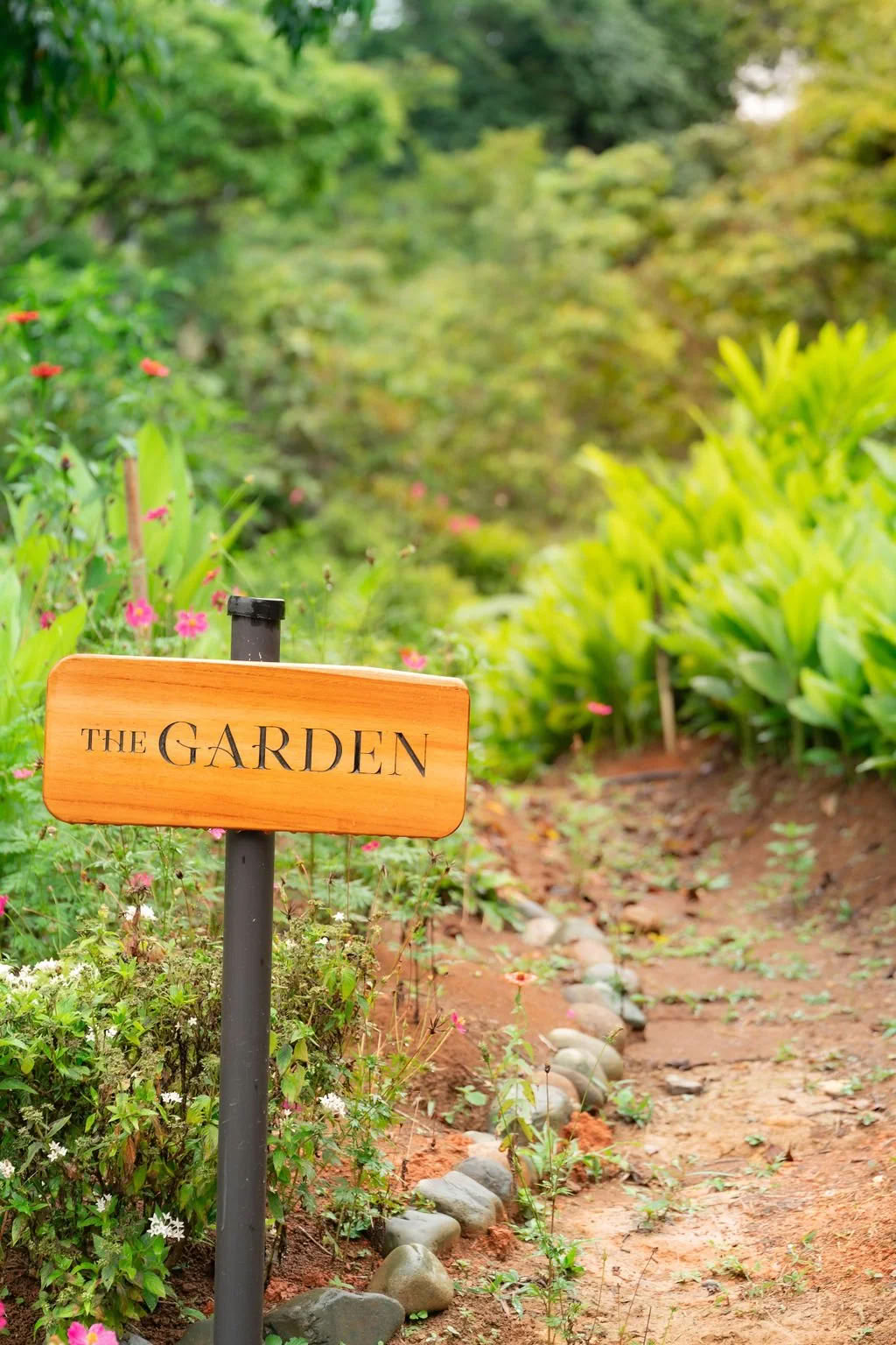 Harmonize Your Life: A Retreat