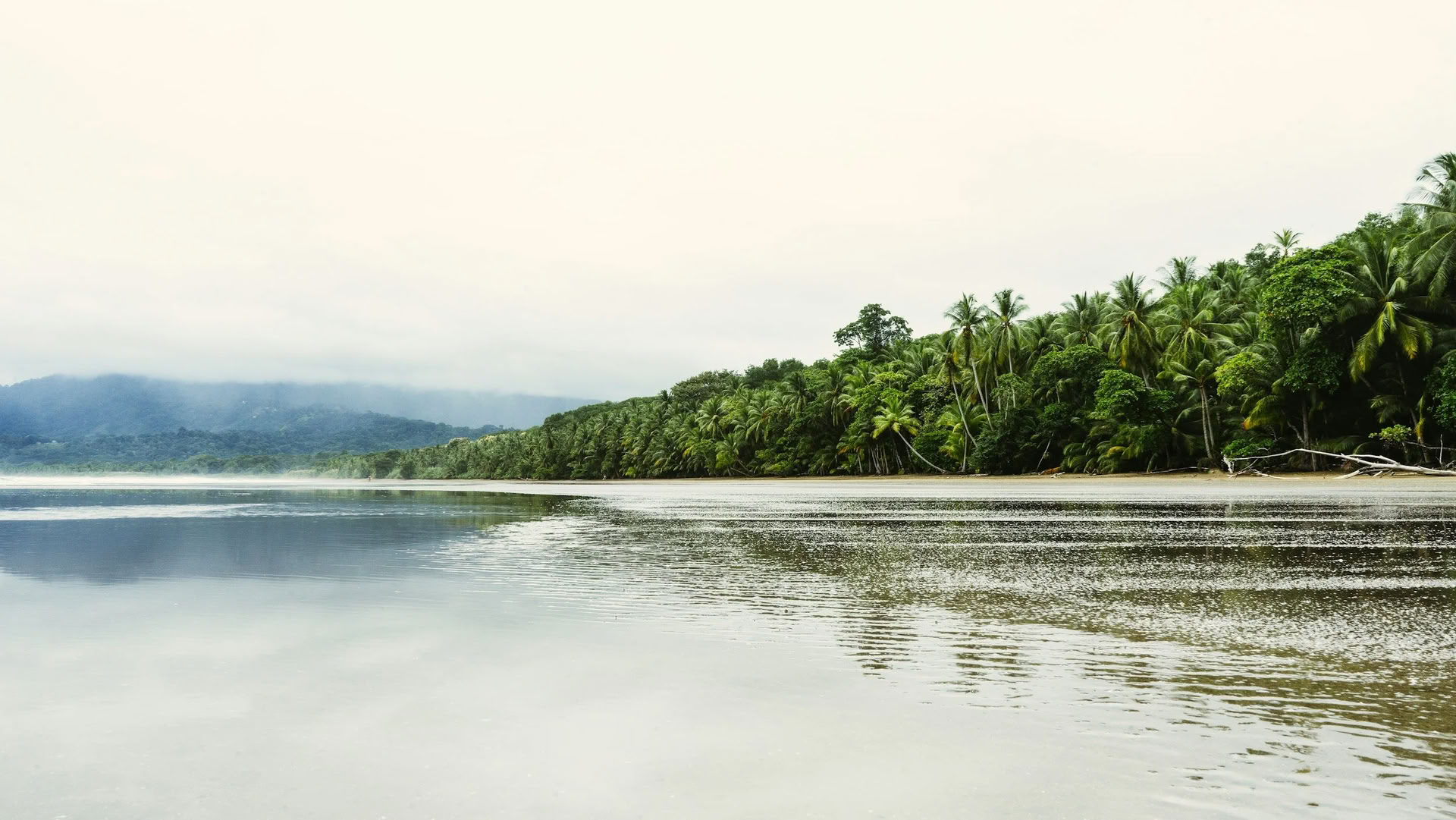 Harmonize Your Life: A Retreat