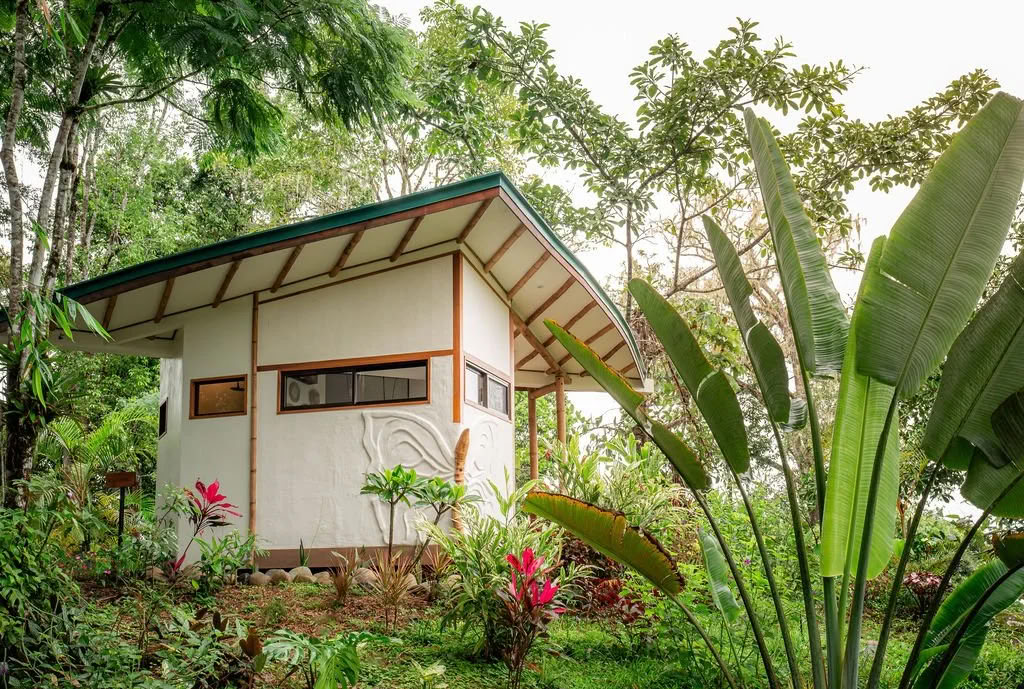 Harmonize Your Life: A Retreat