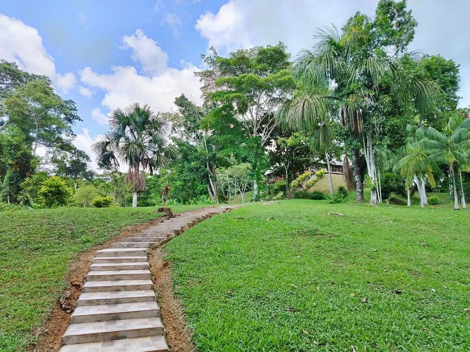 5 days ayahuasca and san pedro retreat