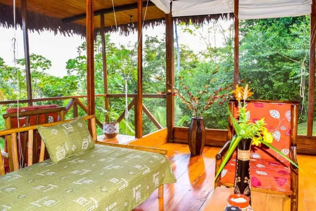 5 days ayahuasca and san pedro retreat