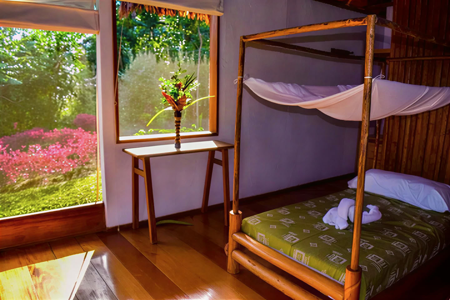 5 days ayahuasca and san pedro retreat