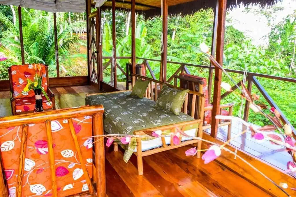 5 days ayahuasca and san pedro retreat