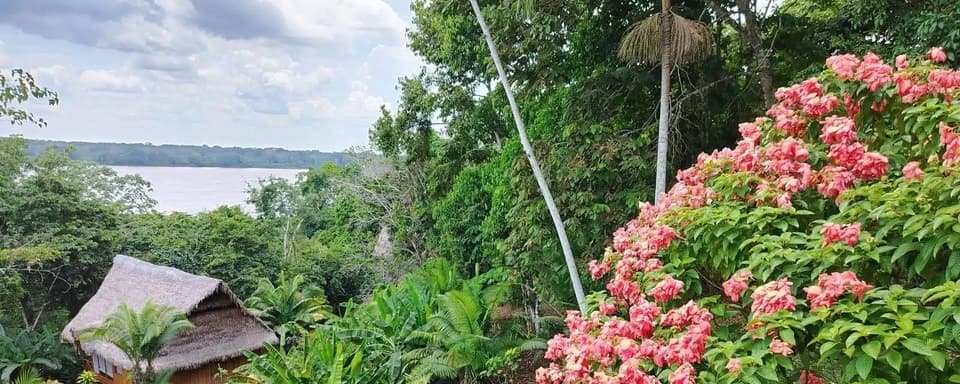 5 days ayahuasca and san pedro retreat