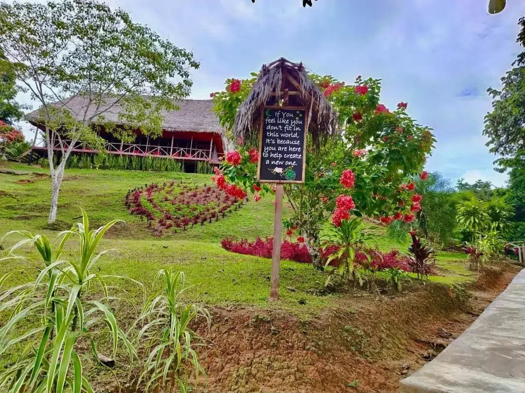 8-Day Ayahuasca & San Pedro Retreat