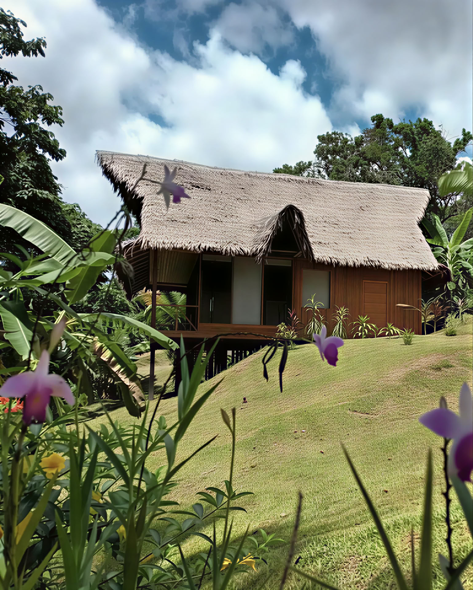 8-Day Ayahuasca & San Pedro Retreat