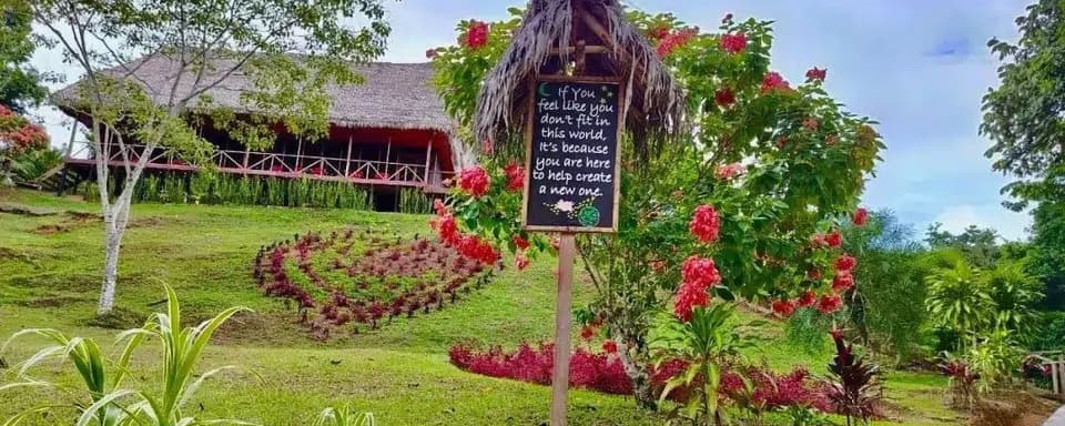 8-Day Ayahuasca & San Pedro Retreat