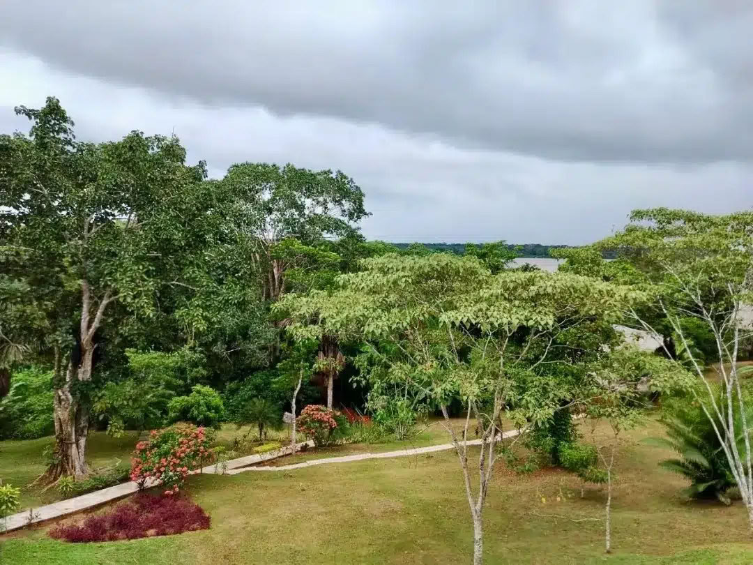 8-Day Ayahuasca & San Pedro Retreat – May 26 - Jun 2