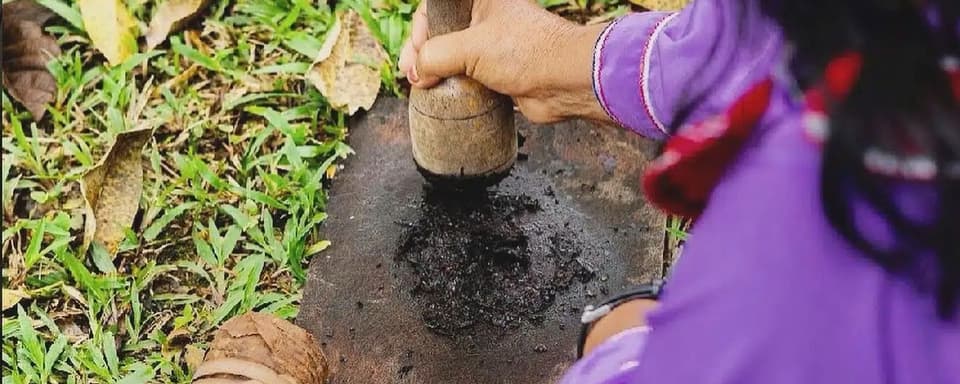 14-Day Medicinal Plants Dieta