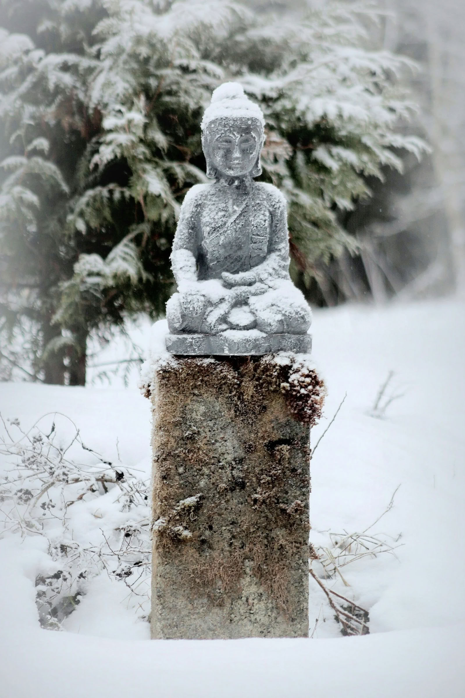 220-Hour Ayurveda Foundations Training