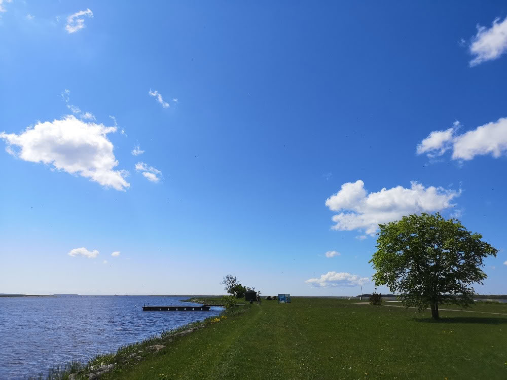 Spiritual Nature Retreat Release Habits