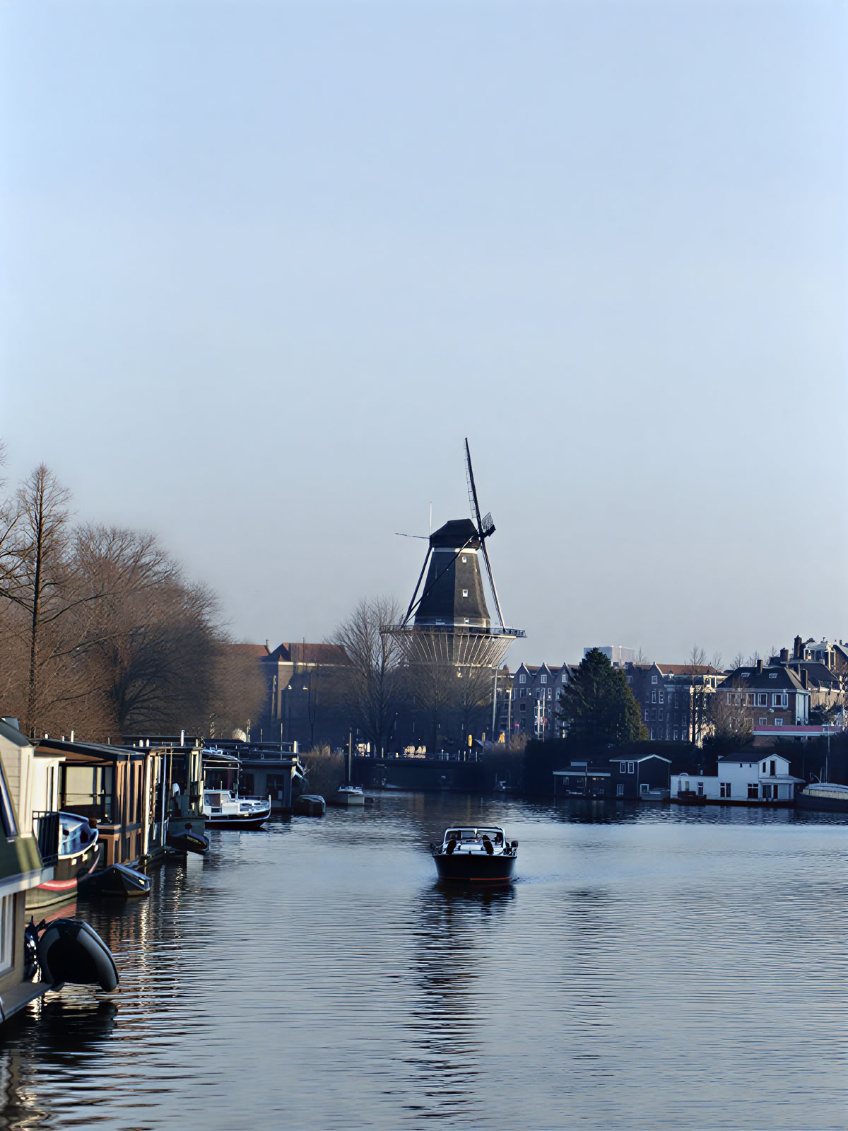 21-Day Private Psilocybin Microdosing Retreat Amsterdam